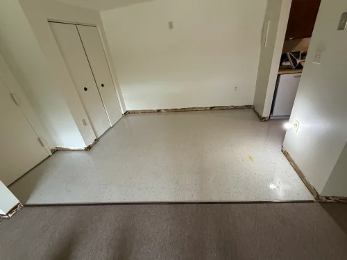 Collins Carpet Cleaning 1