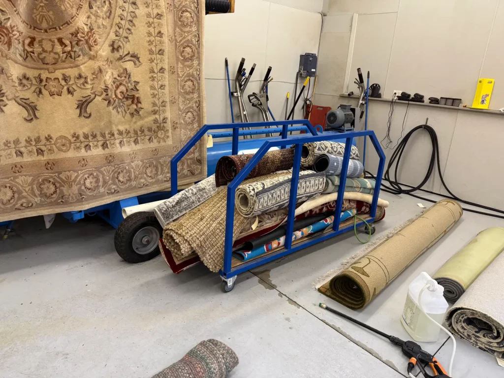 Collins Carpet Cleaning 4